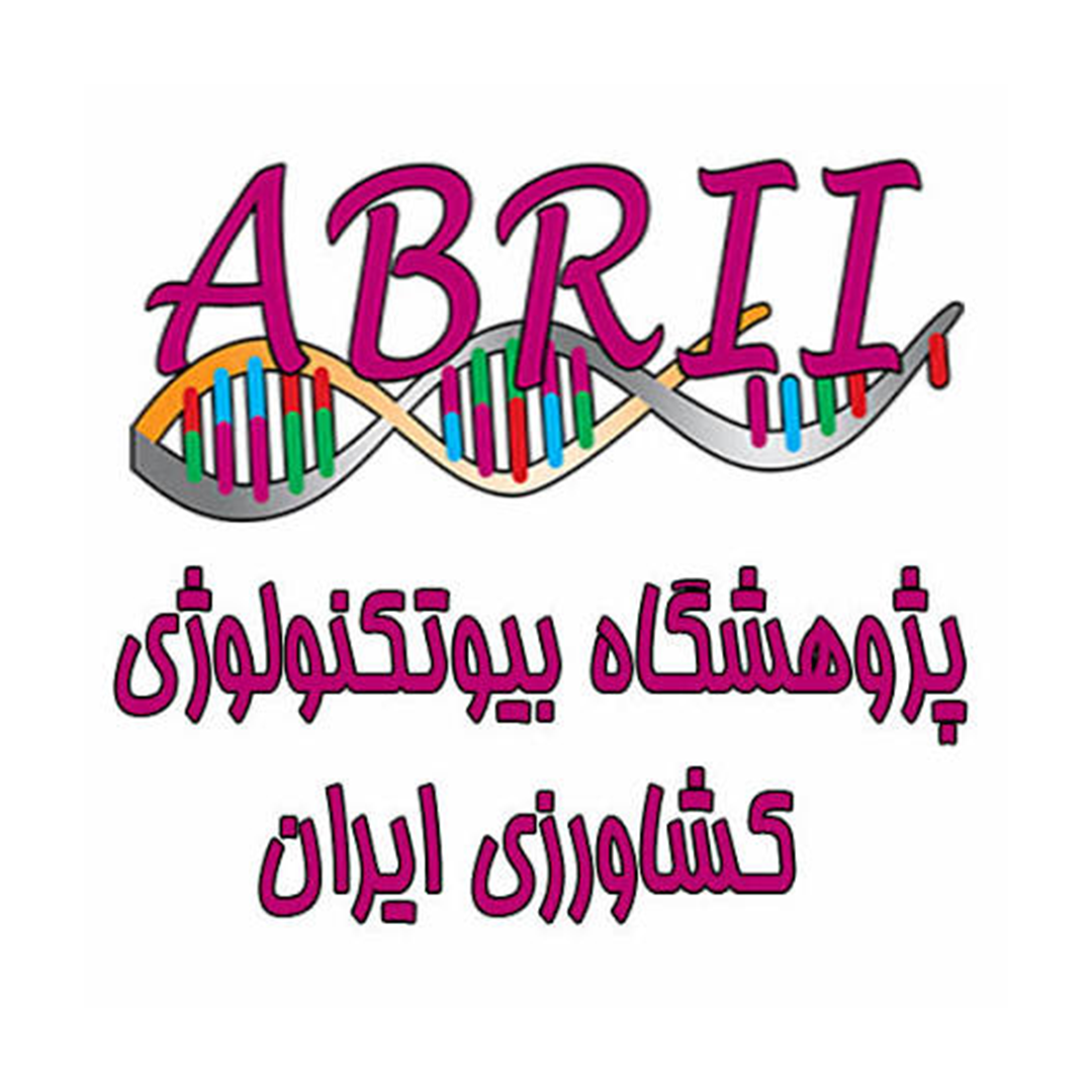مشتری 13