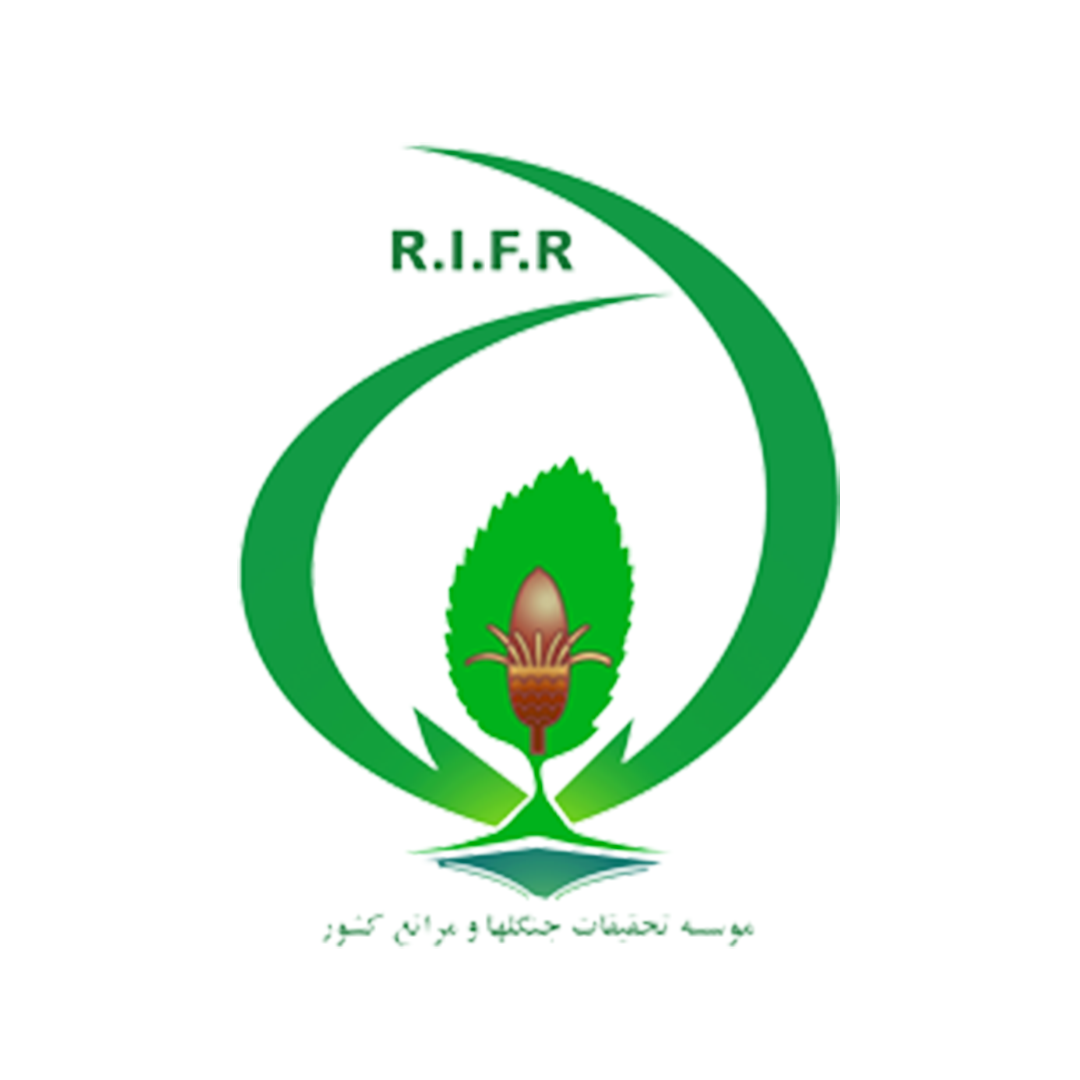مشتری 7